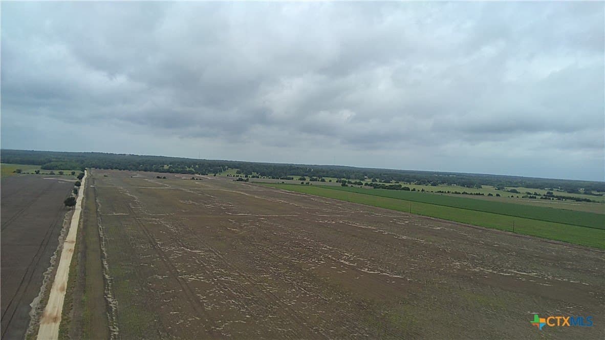 203 acres in Burleson County - photo 13