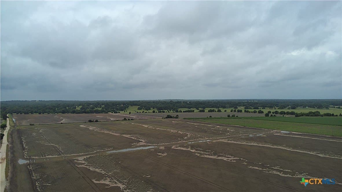 203 acres in Burleson County - photo 8