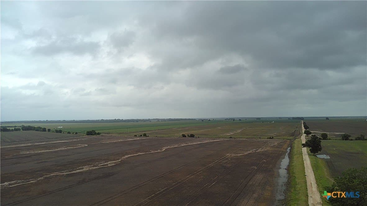 203 acres in Burleson County gallery image 2