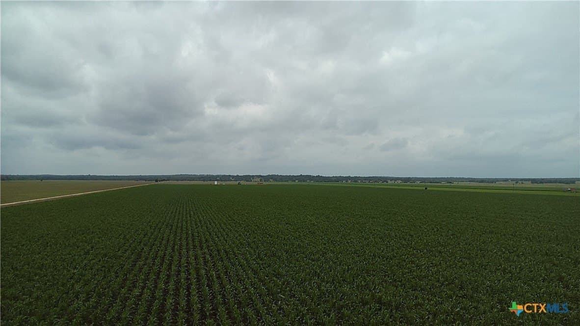 203 acres in Burleson County - photo 22