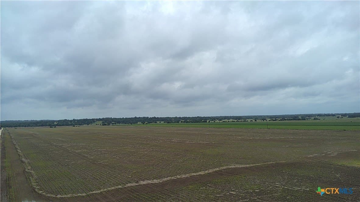 203 acres in Burleson County - photo 14