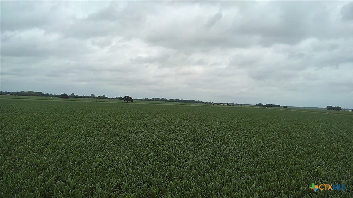 203 acres in Burleson County - photo 15
