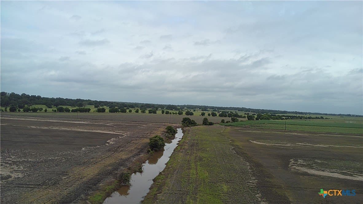 203 acres in Burleson County gallery image 4