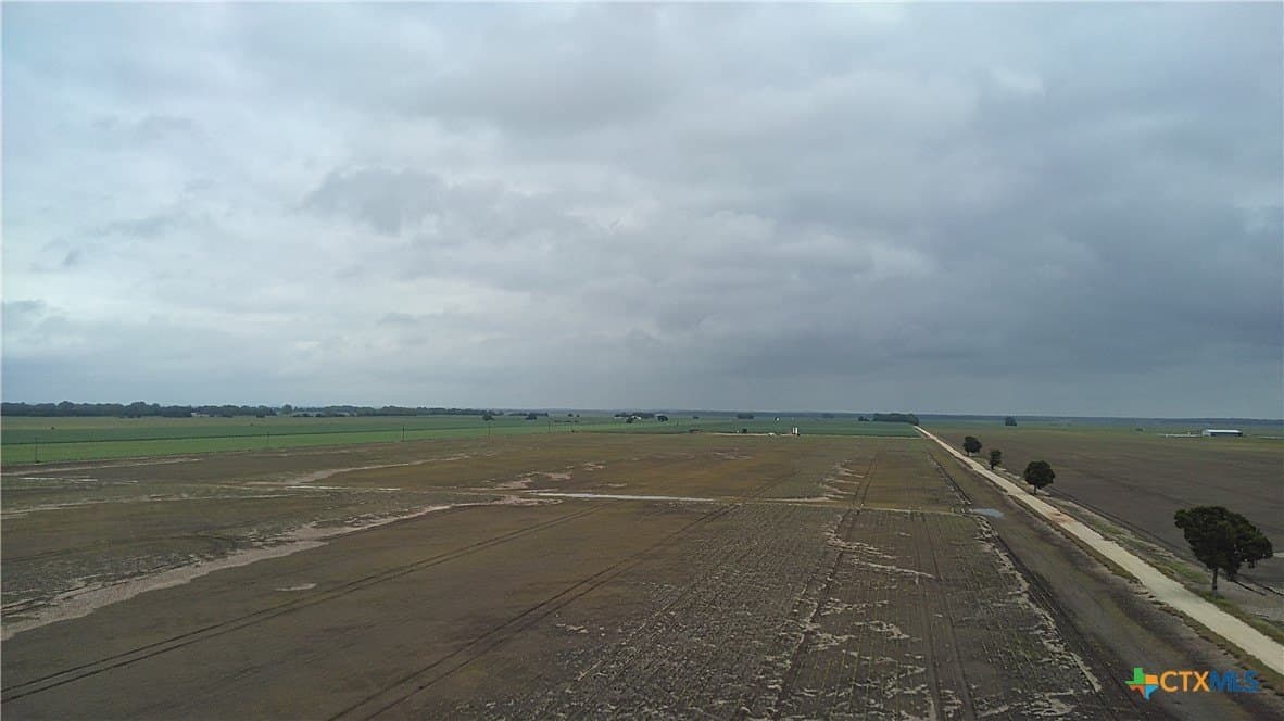 203 acres in Burleson County featured view