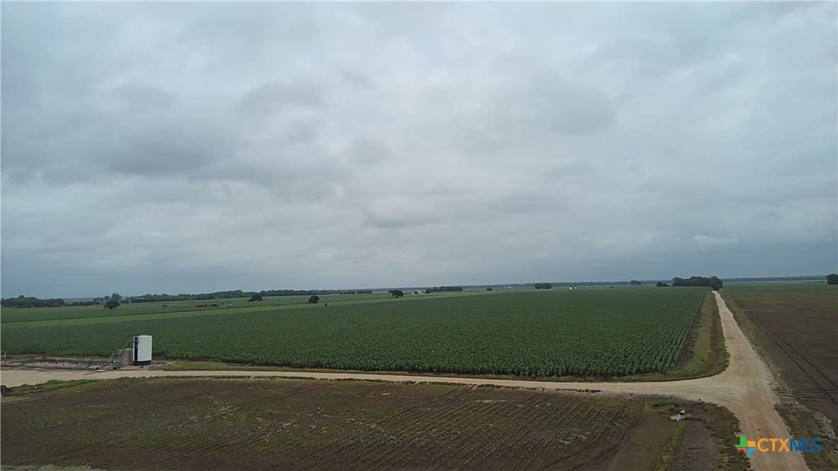 203 acres in Burleson County - photo 11