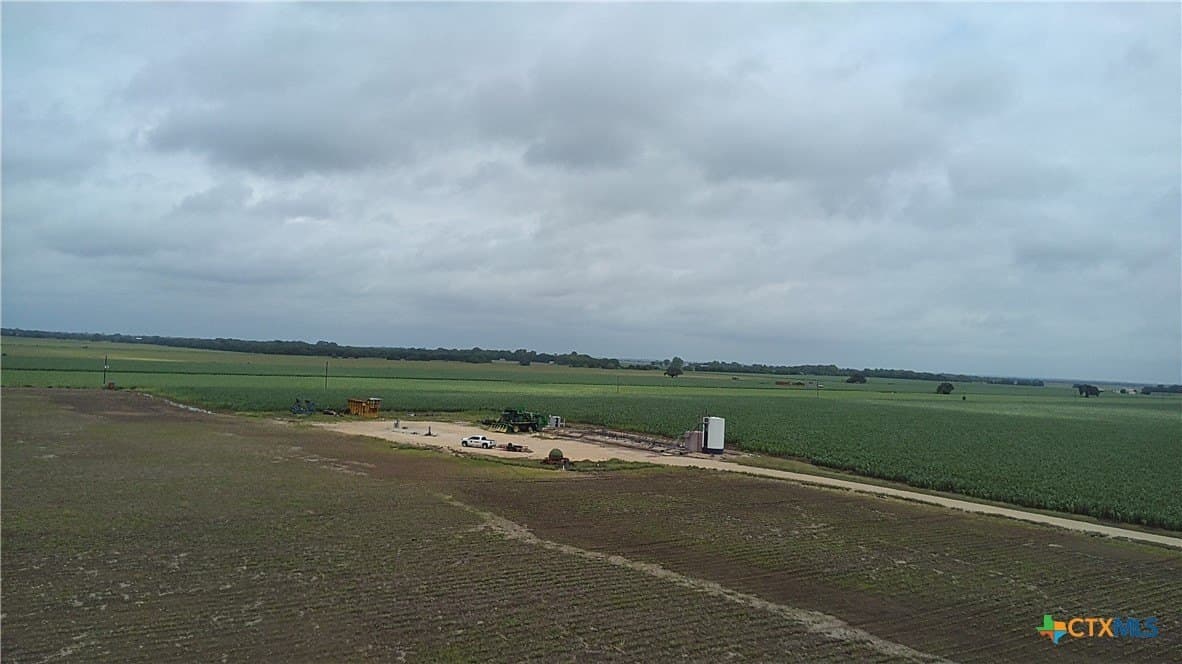 203 acres in Burleson County - photo 9