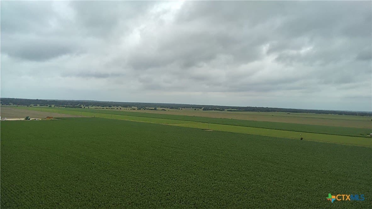 203 acres in Burleson County - photo 18