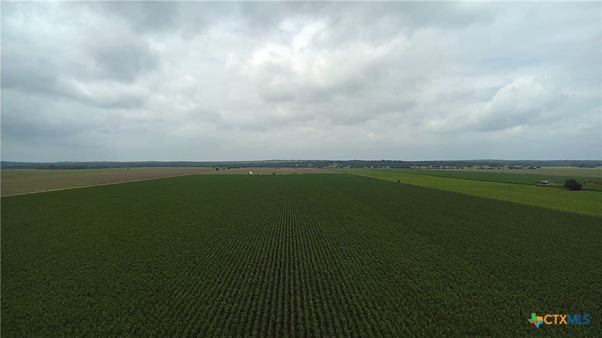 203 acres in Burleson County - photo 25