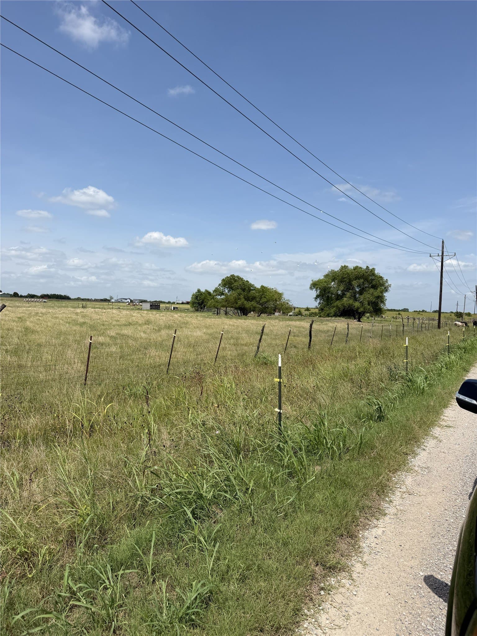 5.25 acres in Hunt County - photo 3
