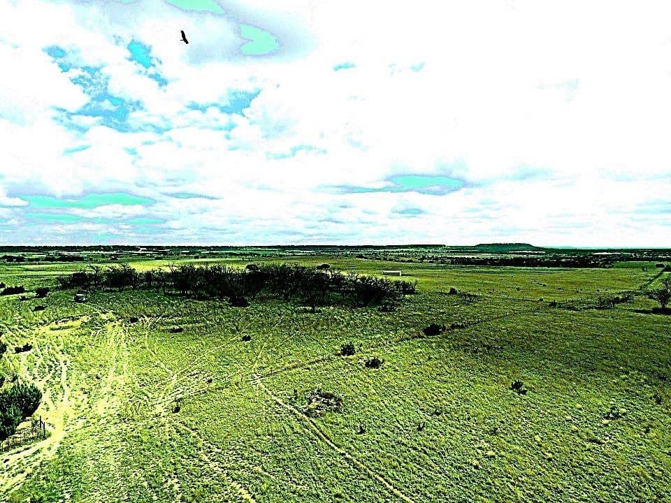 161.11 acres in Hamilton County - photo 17