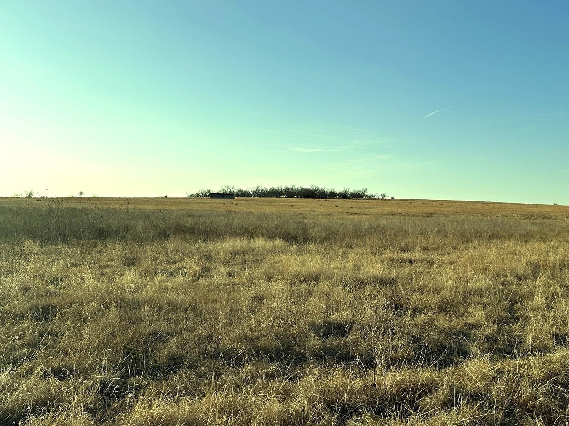 161.11 acres in Hamilton County - photo 3