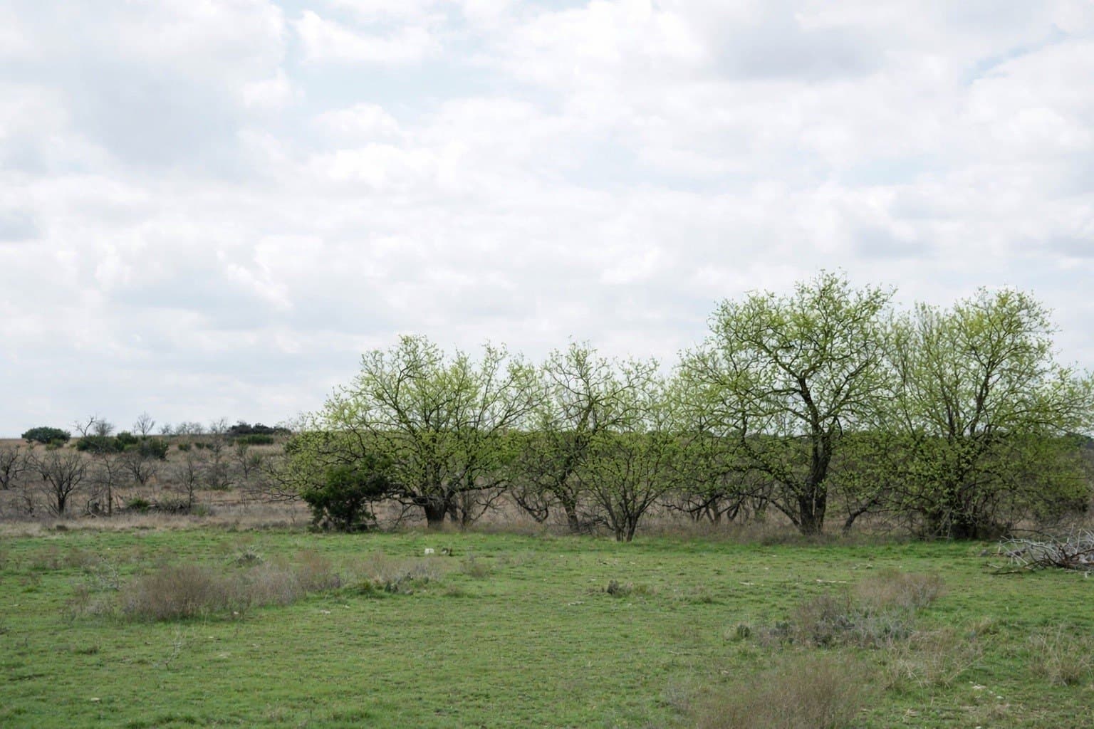 161.11 acres in Hamilton County - photo 12