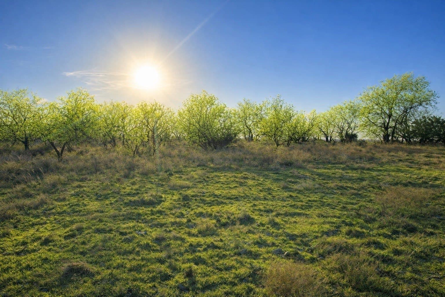 161.11 acres in Hamilton County - photo 2