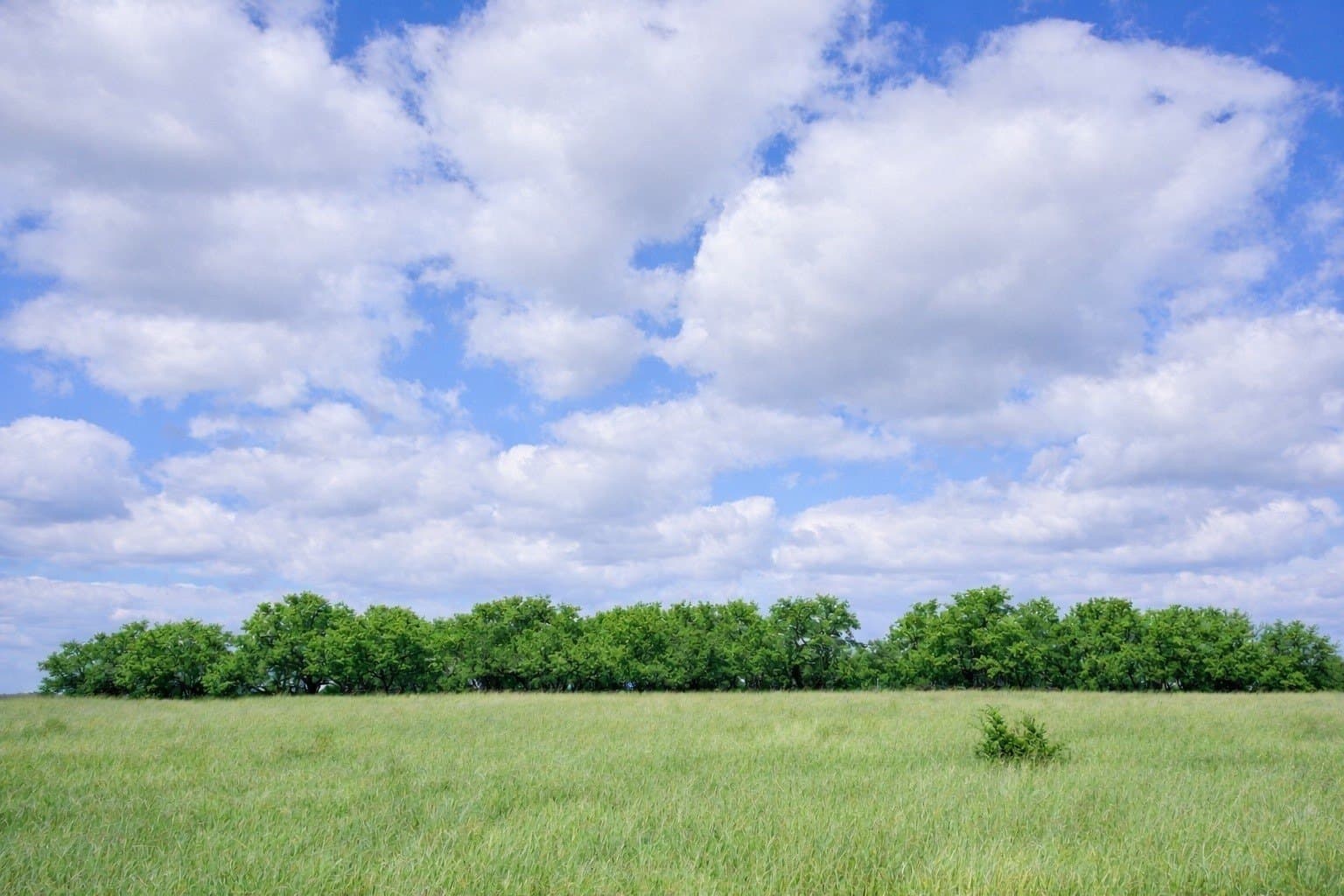 161.11 acres in Hamilton County - photo 13
