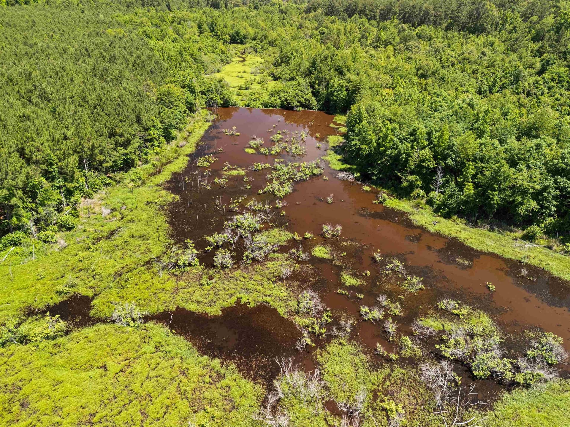 29.16 acres in Marion County - photo 16