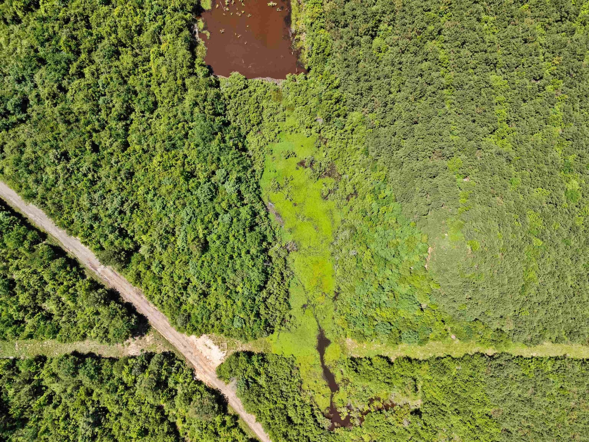 29.16 acres in Marion County - photo 19