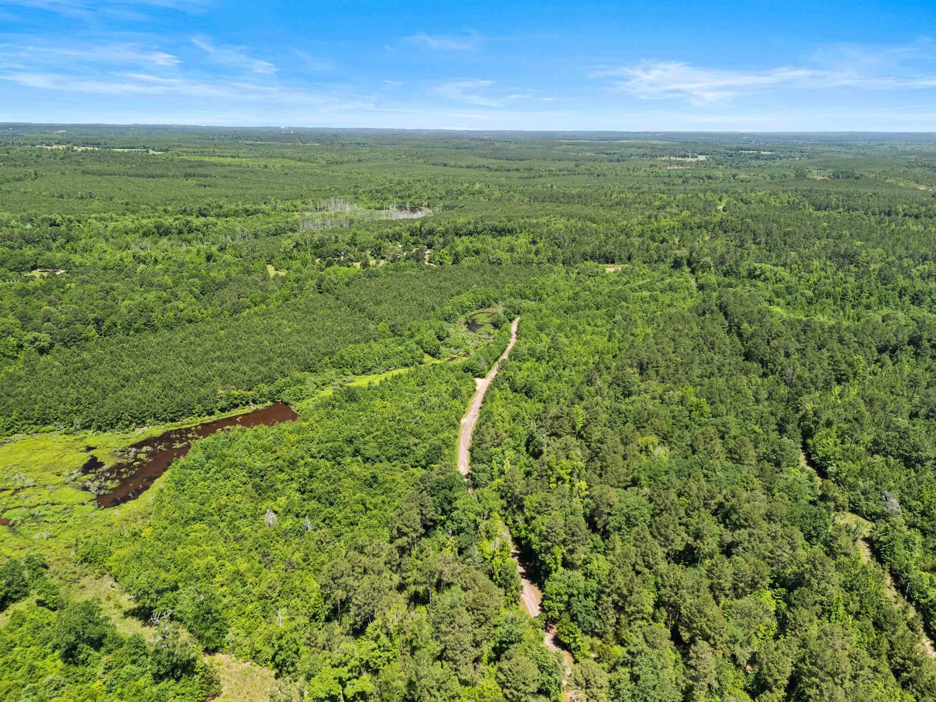 29.16 acres in Marion County - photo 10