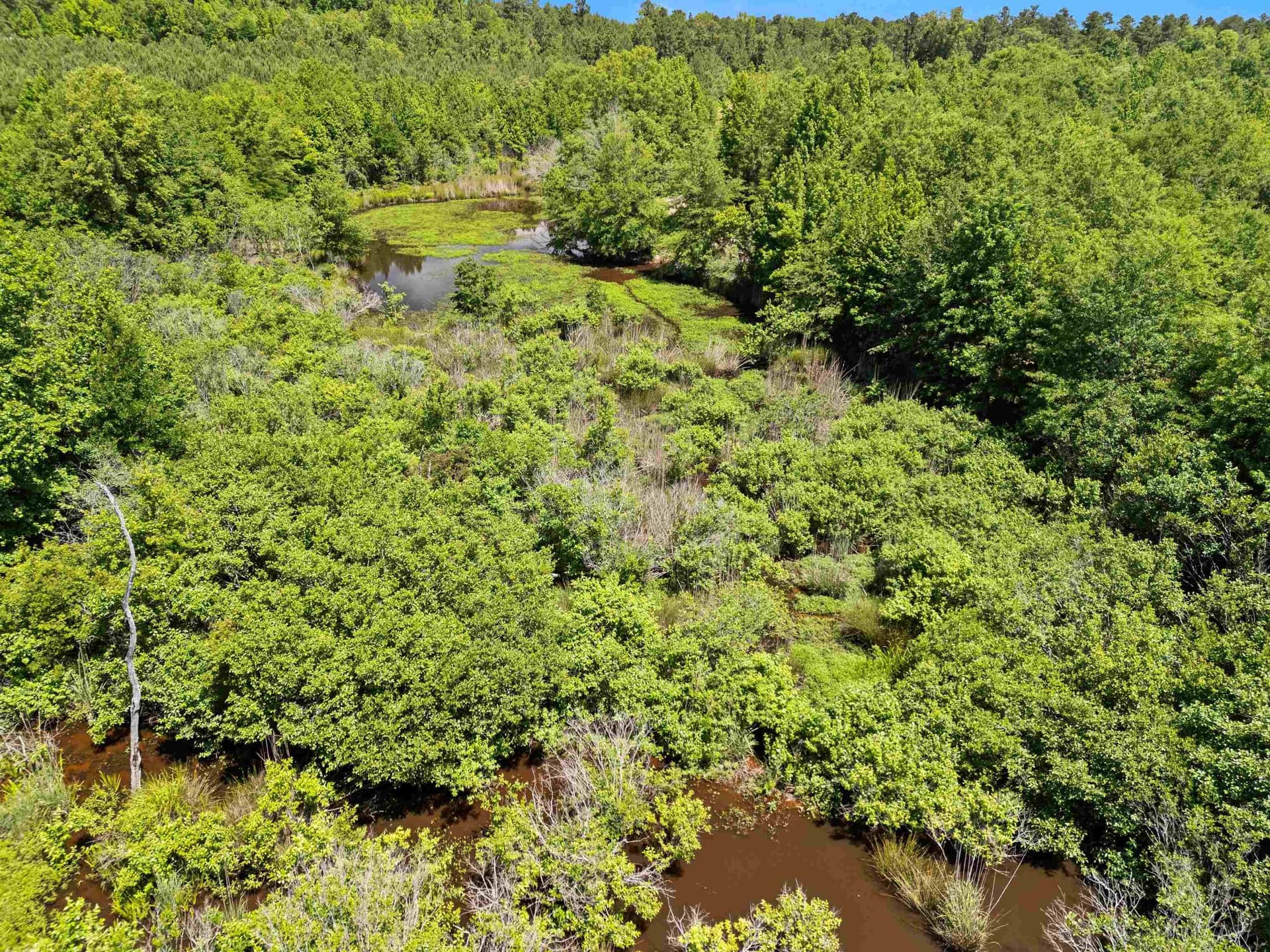 29.16 acres in Marion County - photo 22