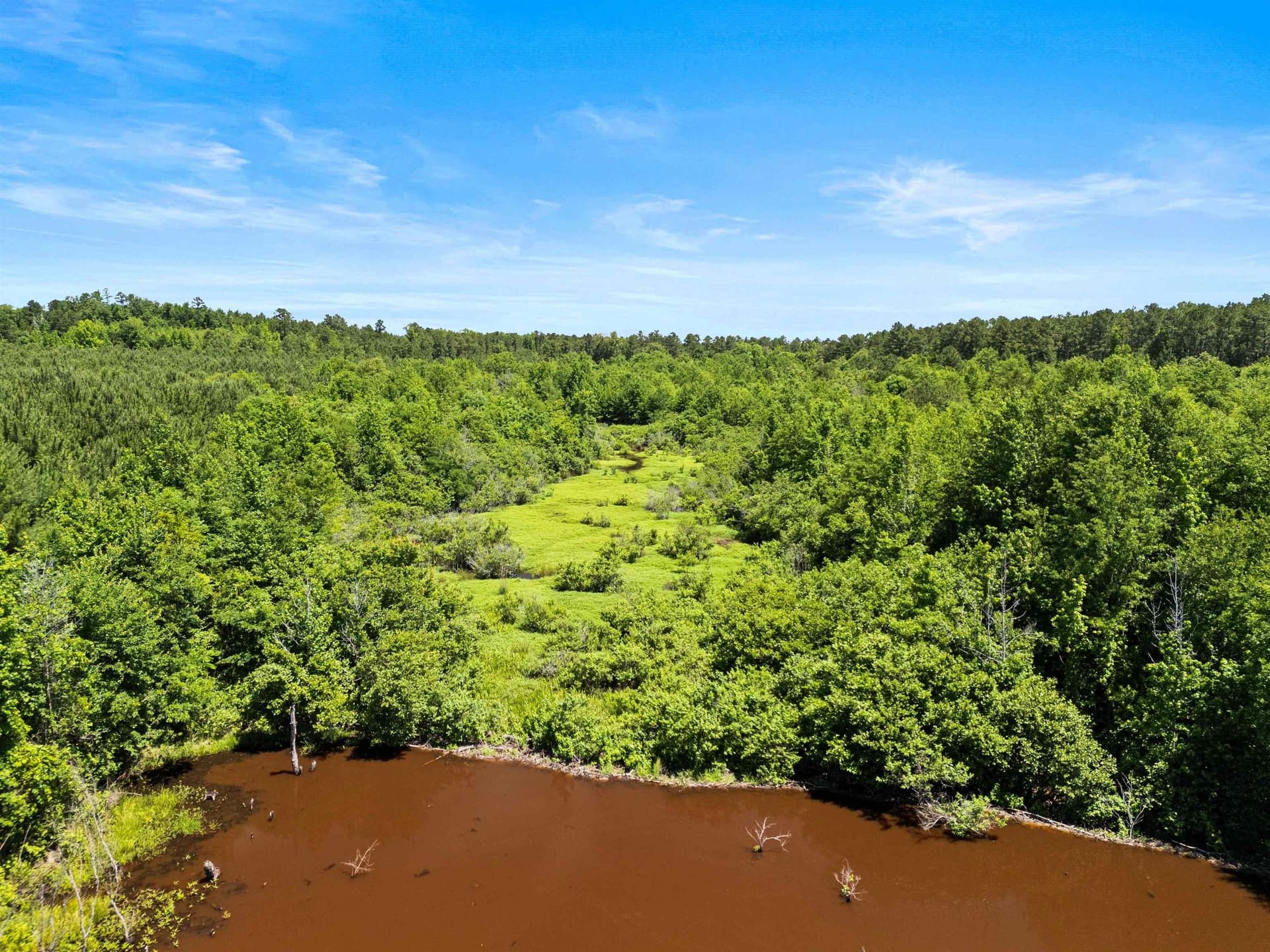 29.16 acres in Marion County - photo 18