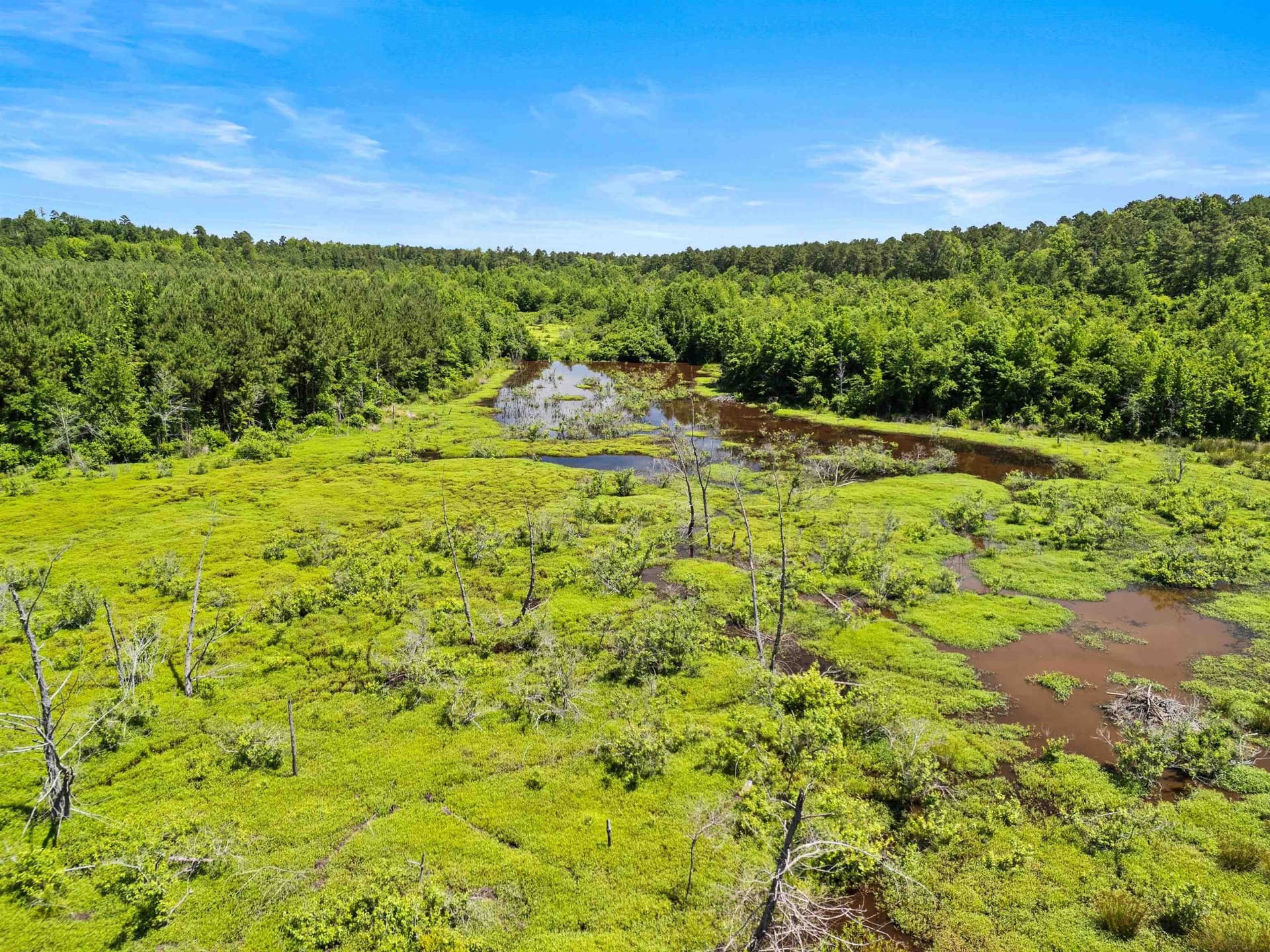 29.16 acres in Marion County - photo 15