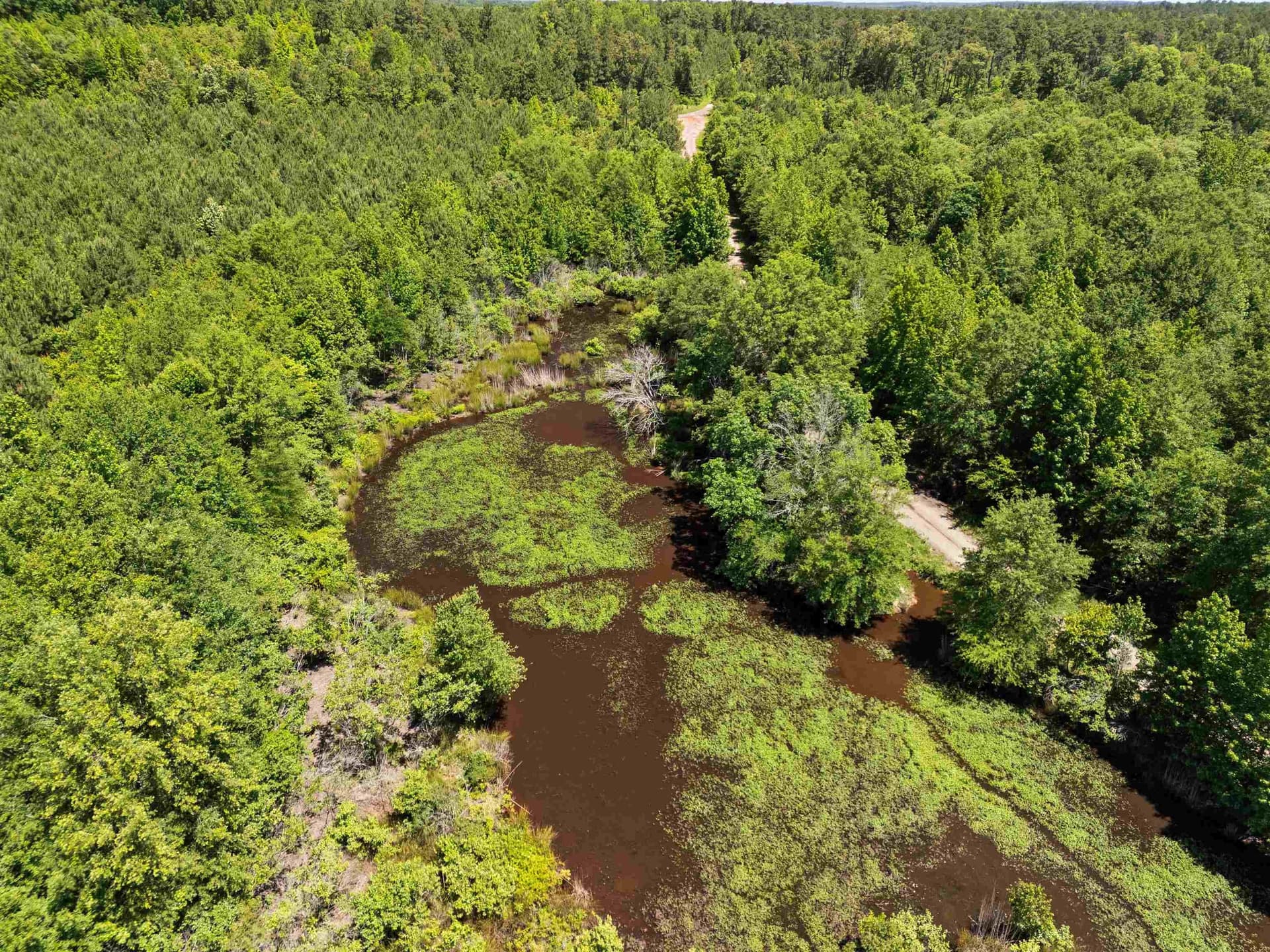 29.16 acres in Marion County - photo 13
