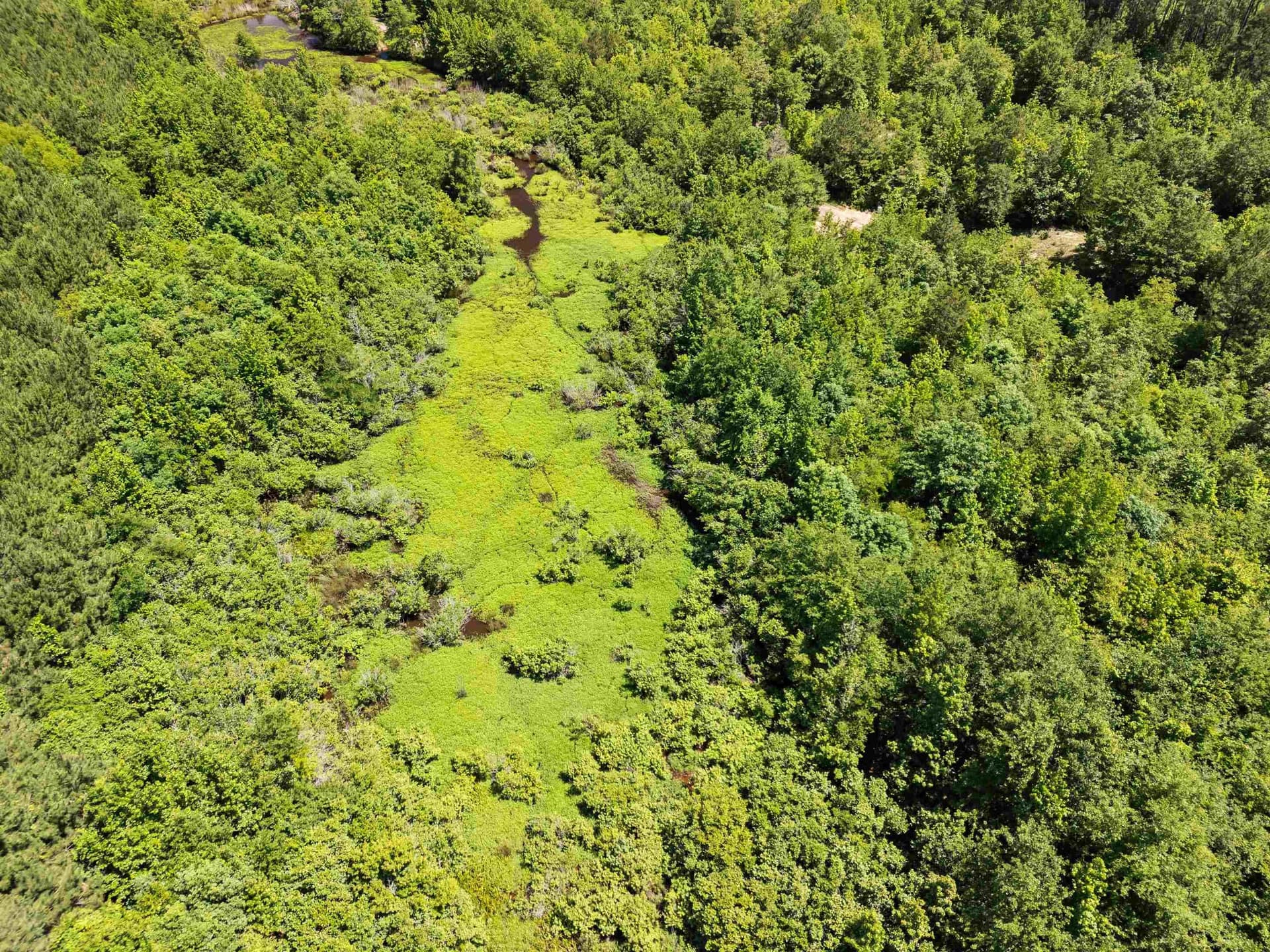 29.16 acres in Marion County - photo 11