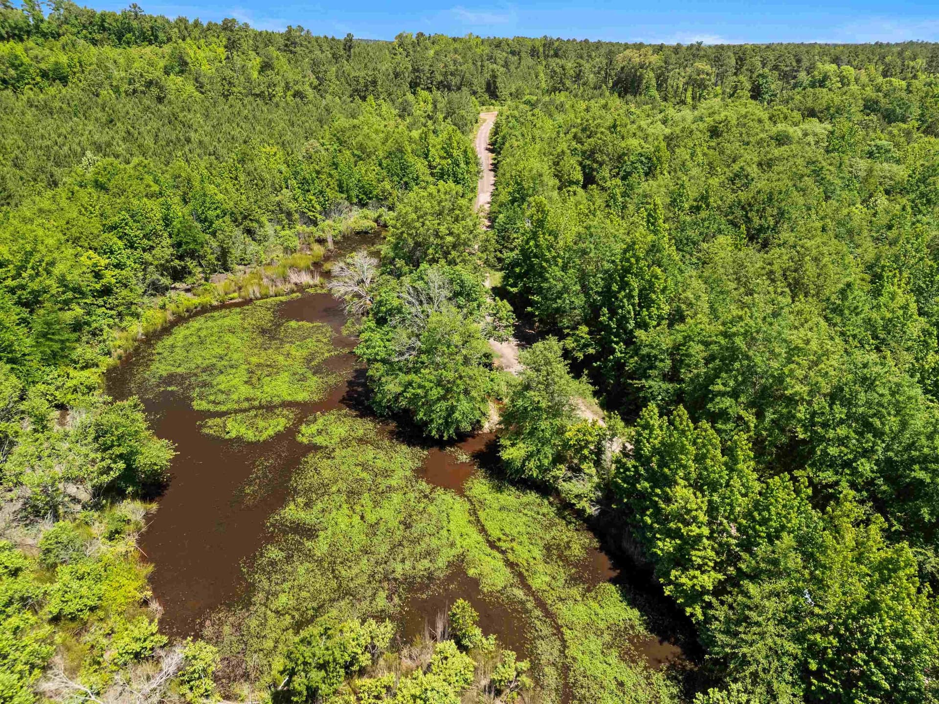 29.16 acres in Marion County - photo 23