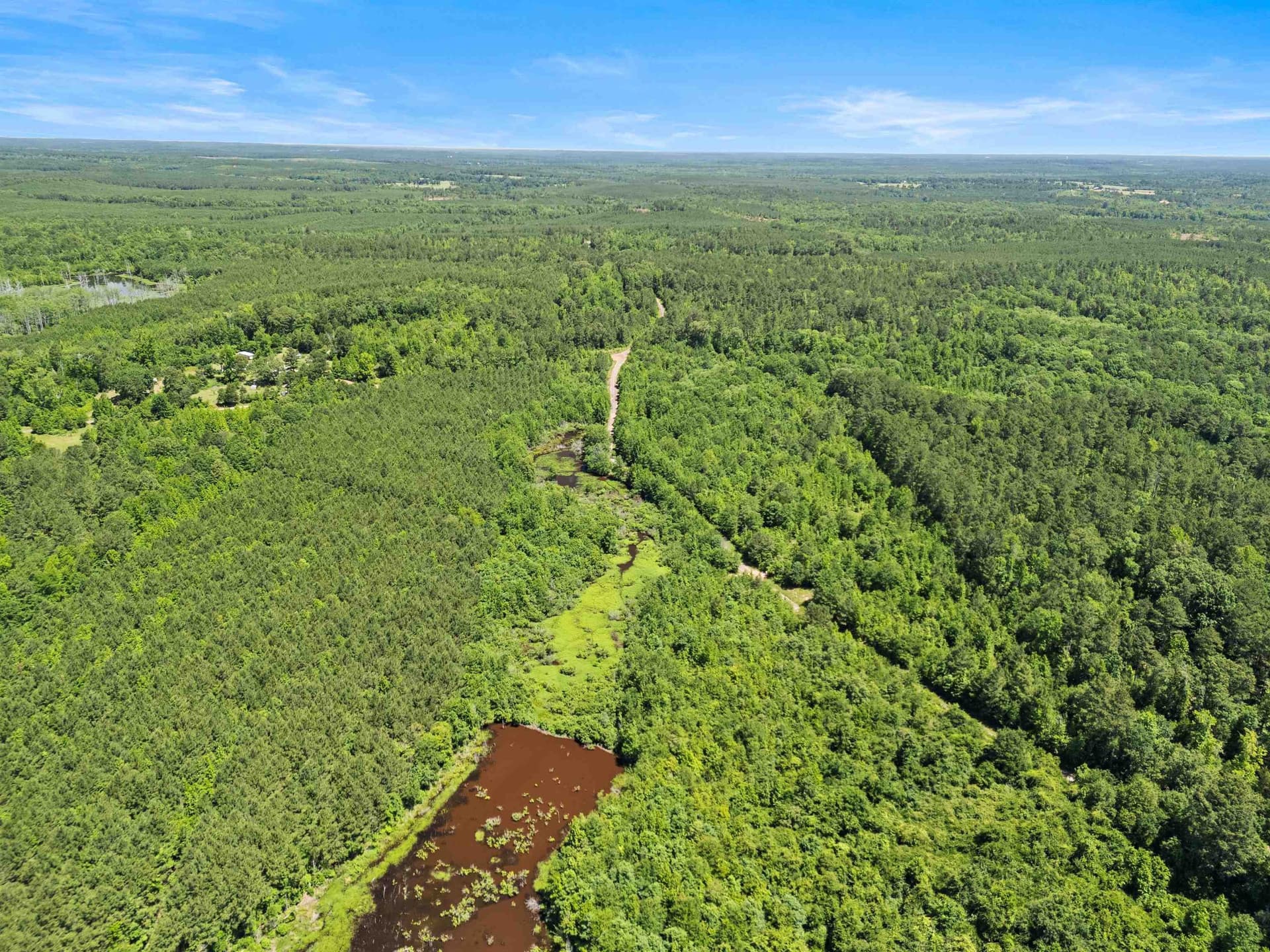 29.16 acres in Marion County - photo 14