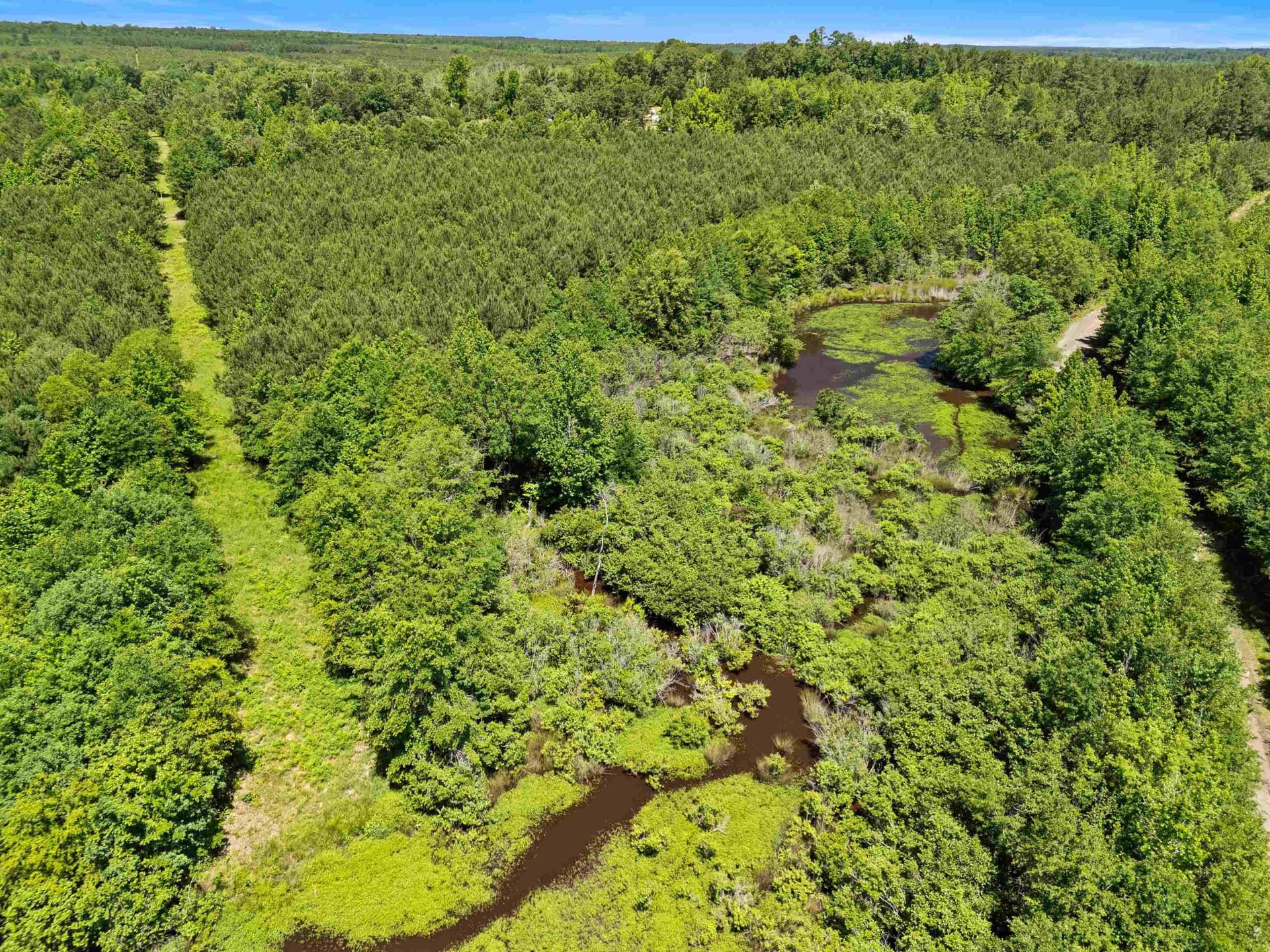 29.16 acres in Marion County - photo 12
