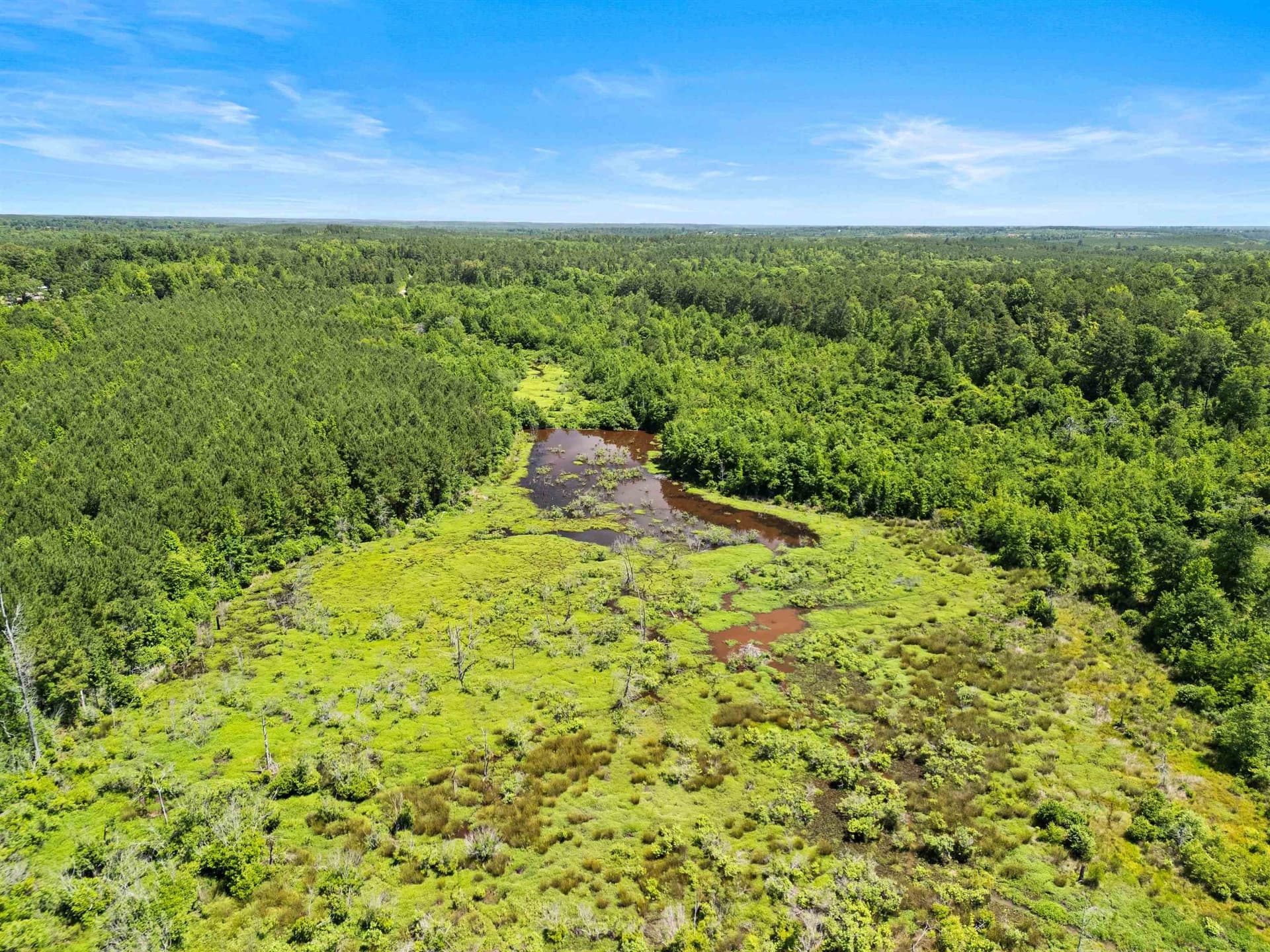 29.16 acres in Marion County gallery image 4