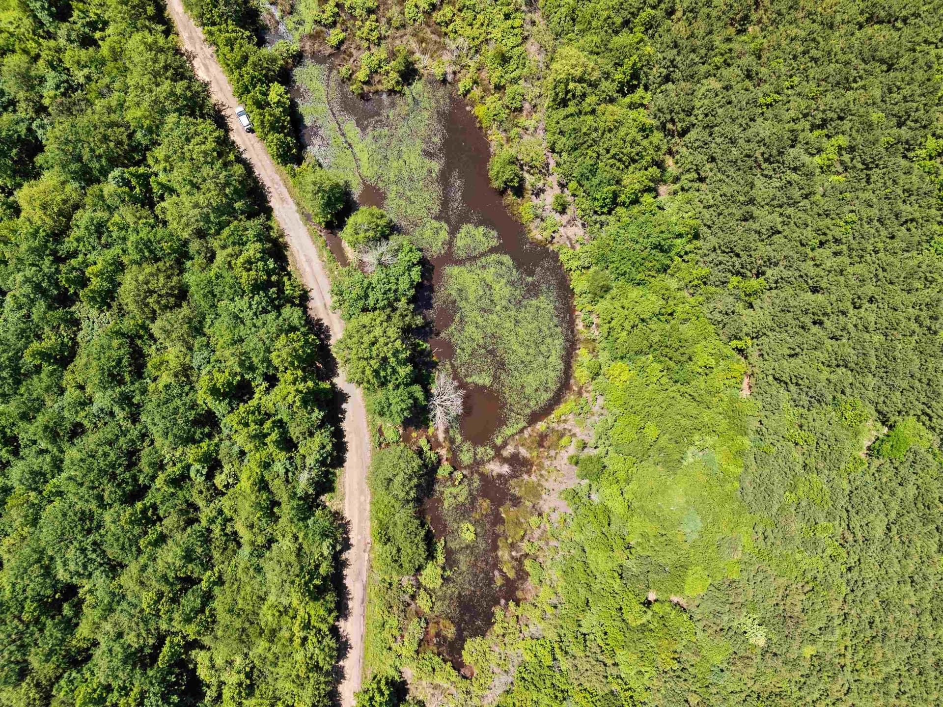 29.16 acres in Marion County - photo 8