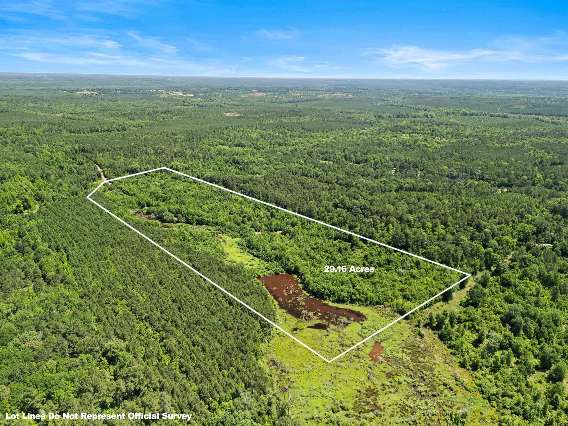 29.16 acres in Marion County - photo 9