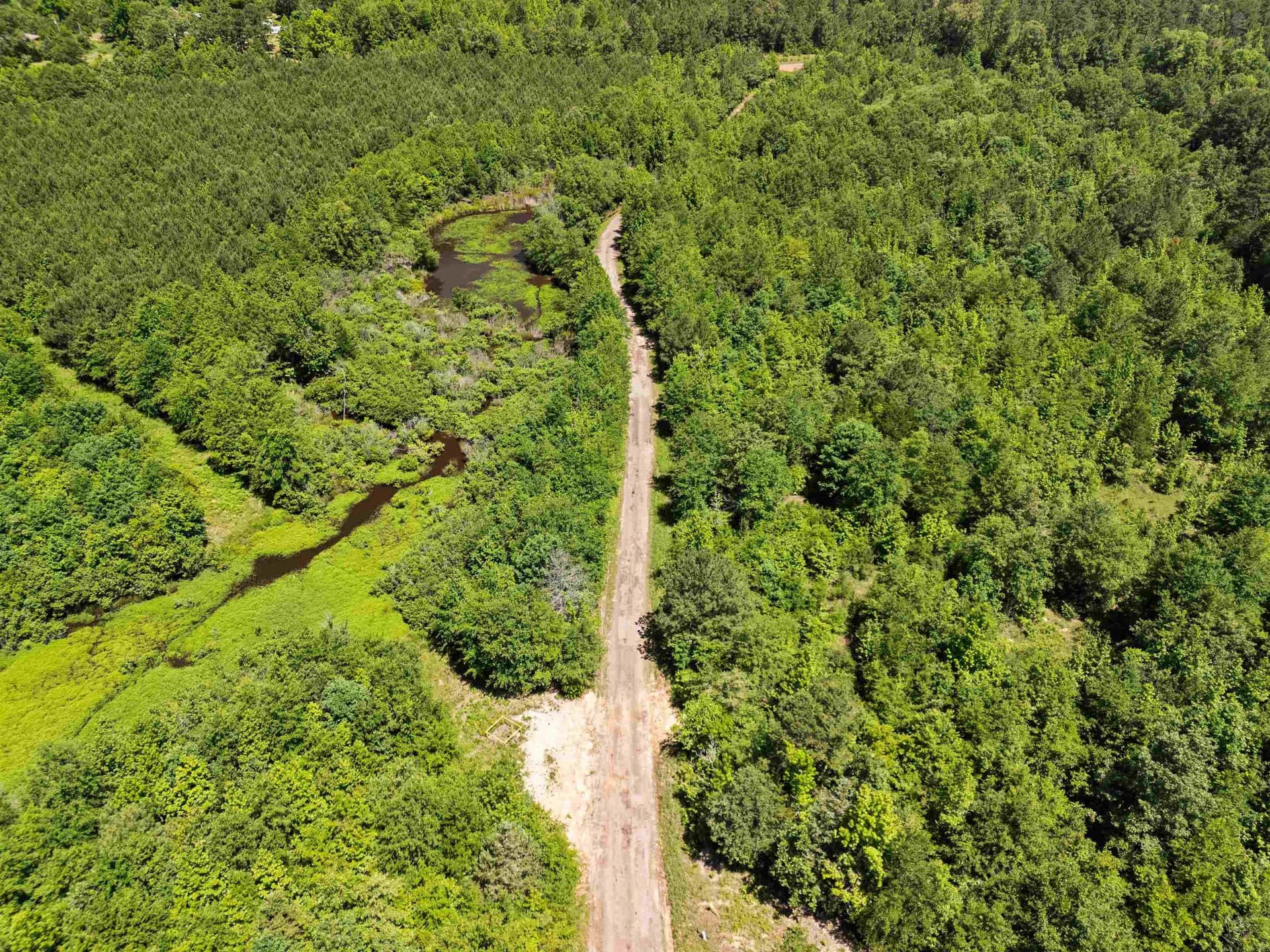 29.16 acres in Marion County - photo 17