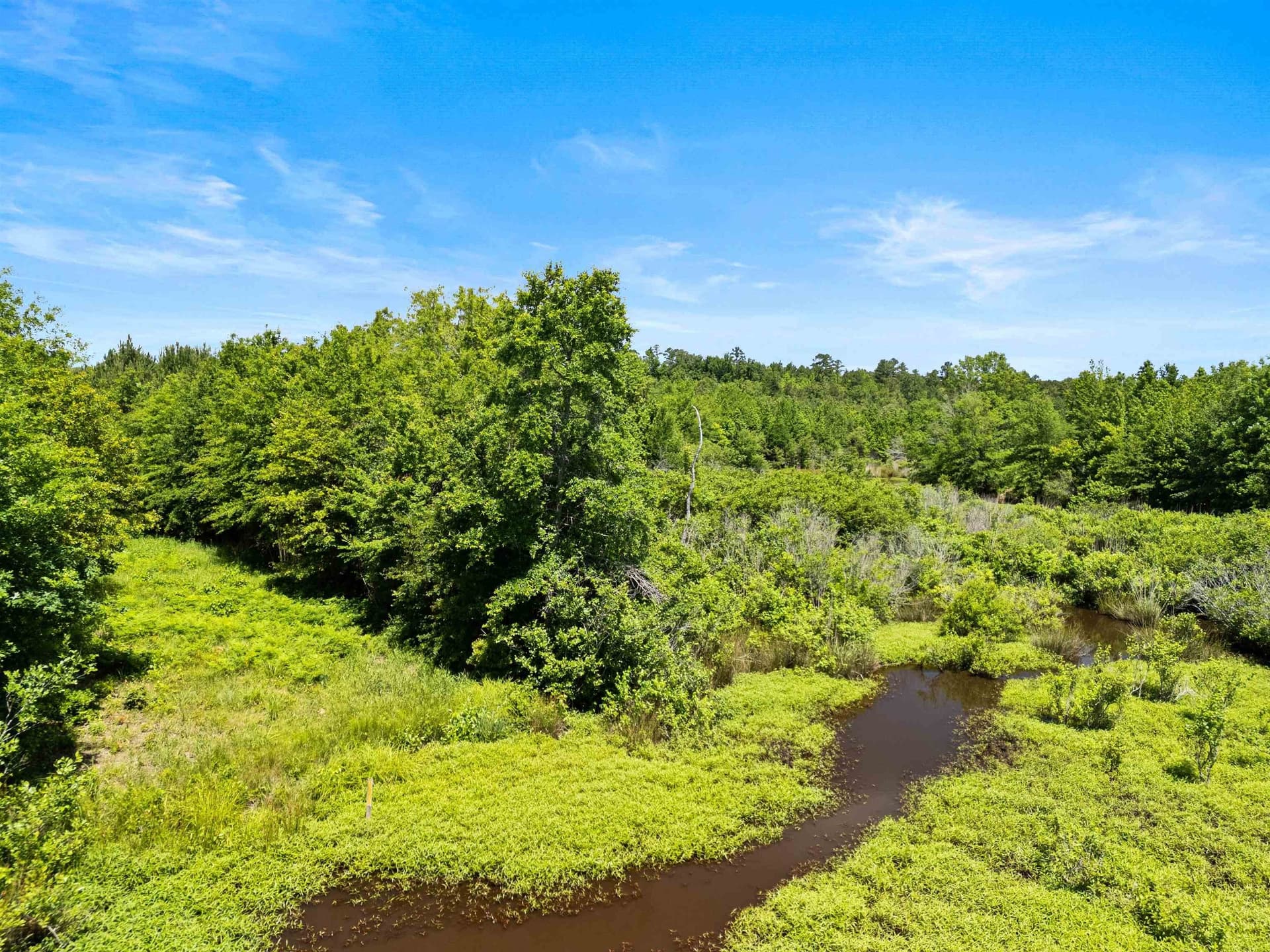 29.16 acres in Marion County - photo 21