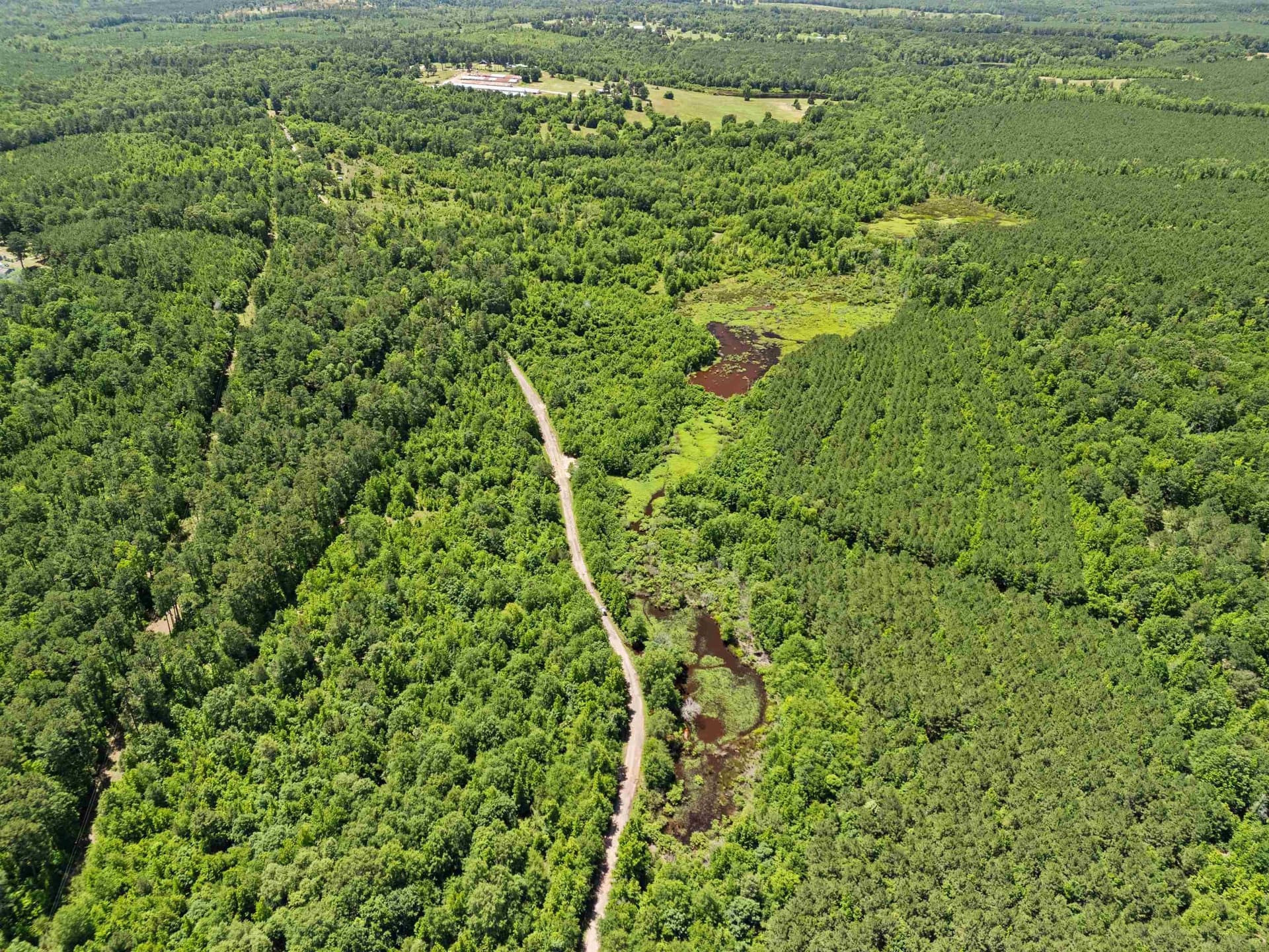 29.16 acres in Marion County - photo 7