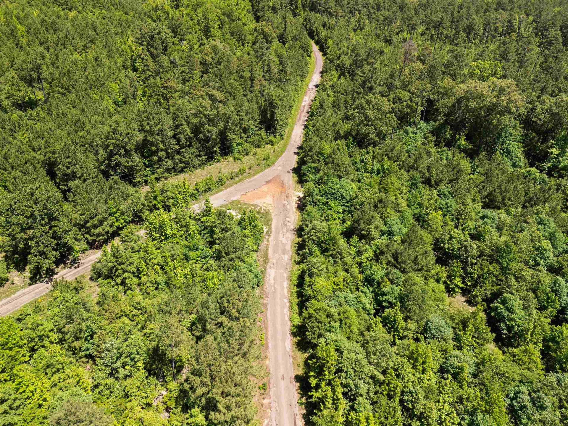 29.16 acres in Marion County - photo 6