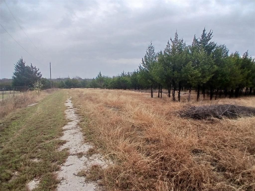 13.65 acres in Collin County gallery image 4