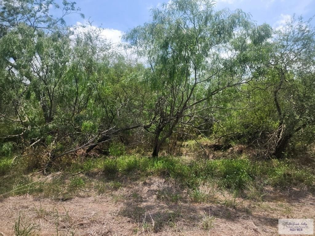 1.58 acres in CAMERON County gallery image 2