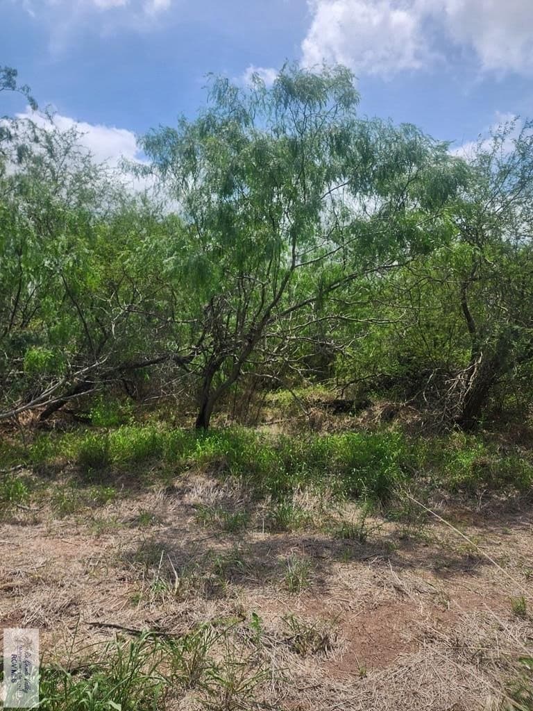 1.58 acres in CAMERON County gallery image 3