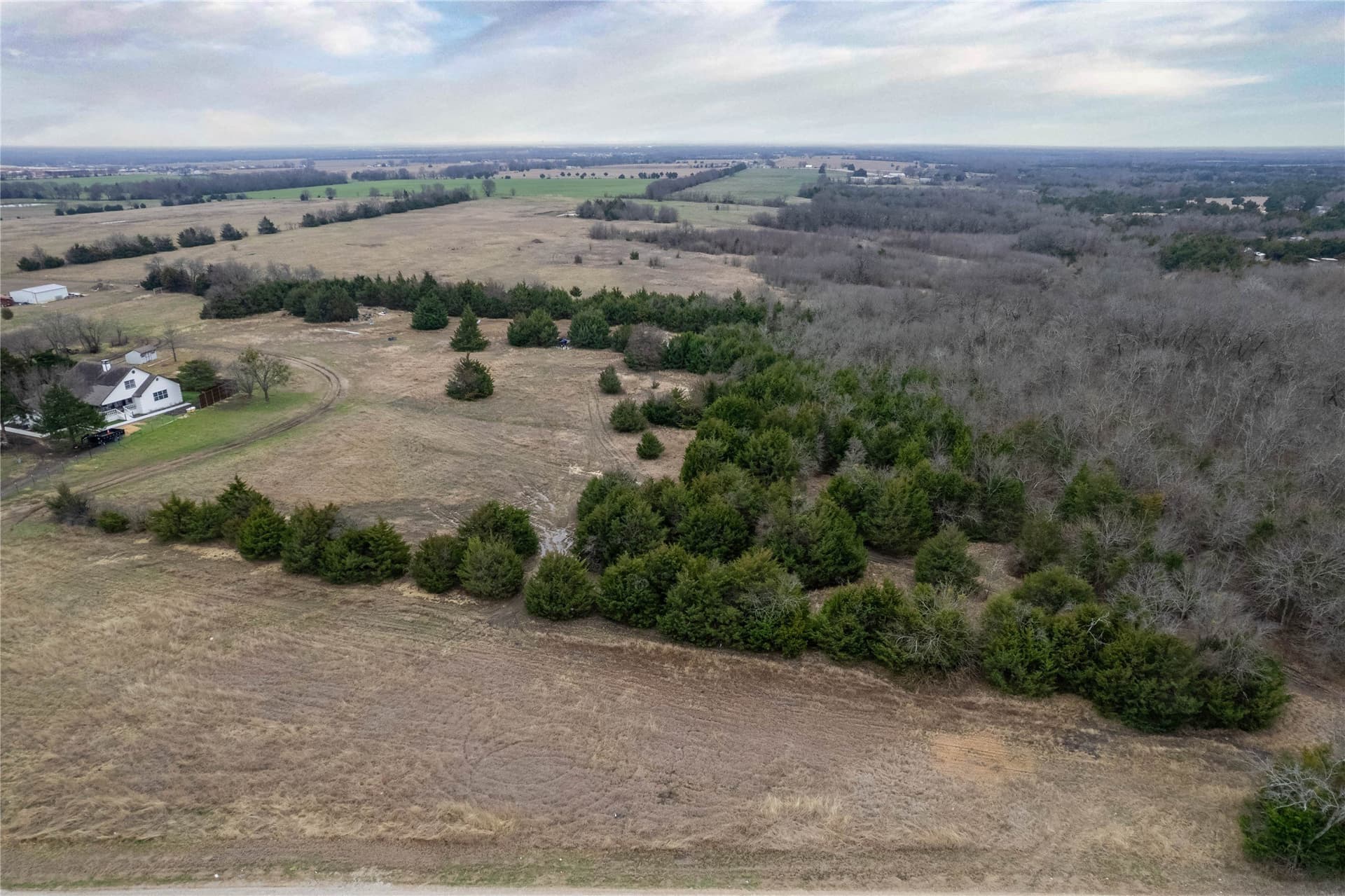 5.01 acres in Fannin County - photo 8
