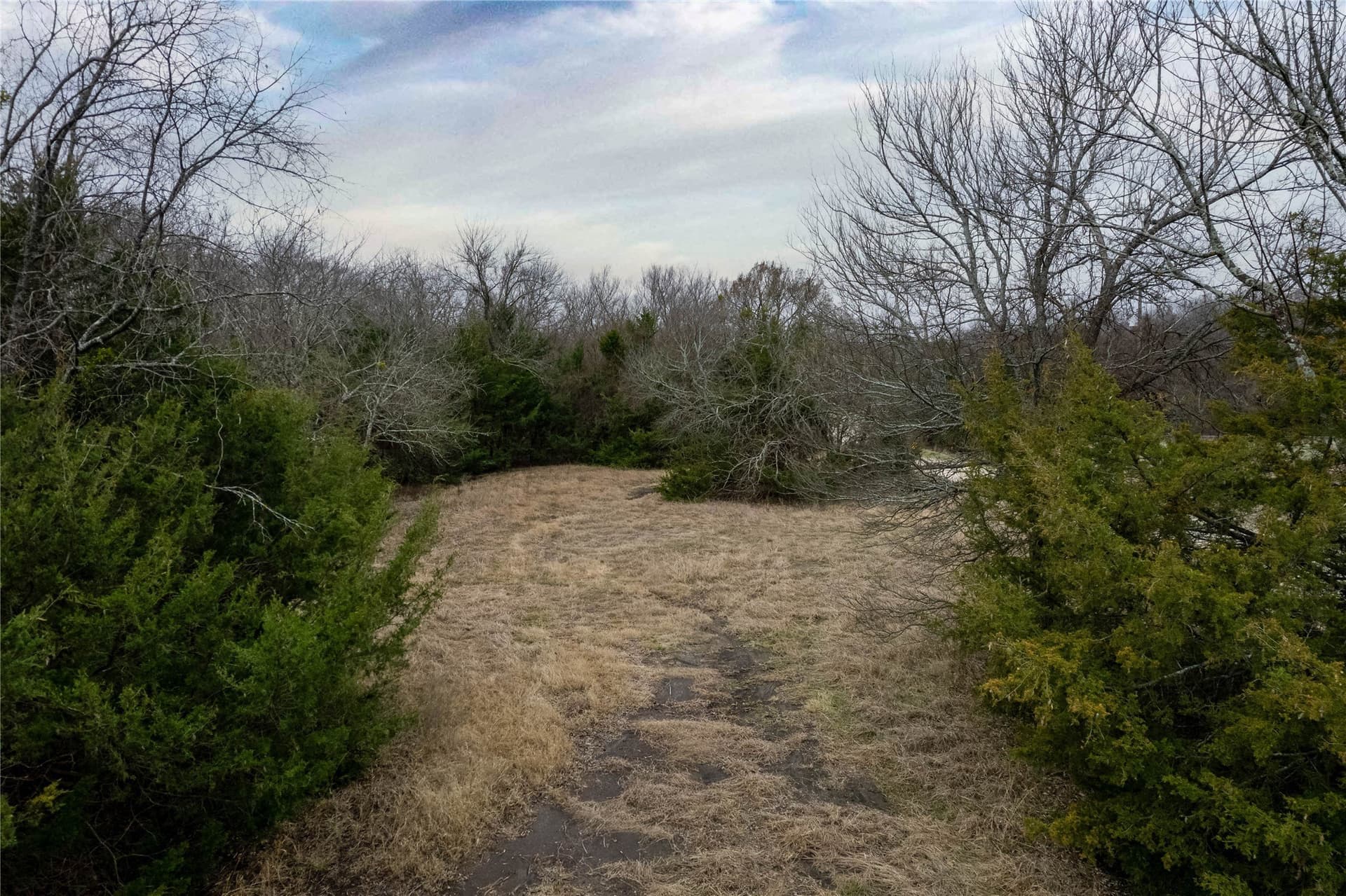 5.01 acres in Fannin County - photo 13