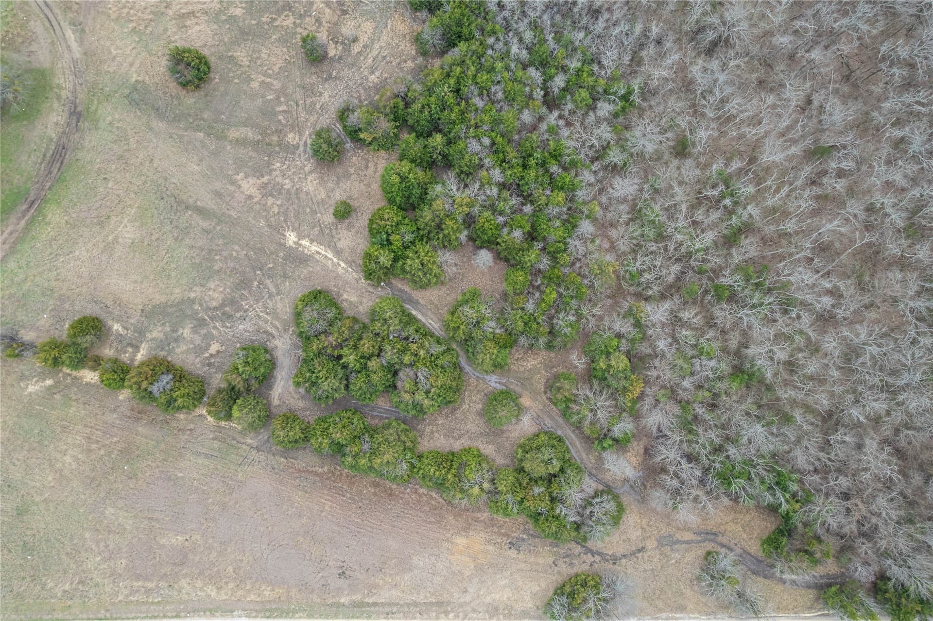 5.01 acres in Fannin County - photo 14