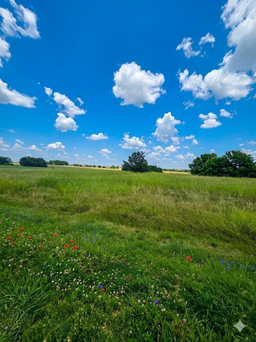 0.39 acres in Johnson County - photo 11