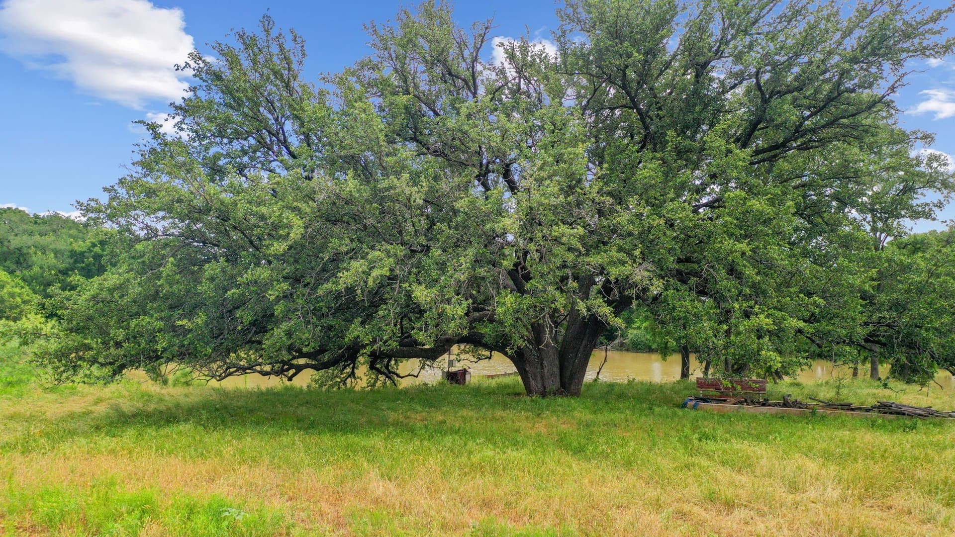 74.23 acres in Parker County - photo 16