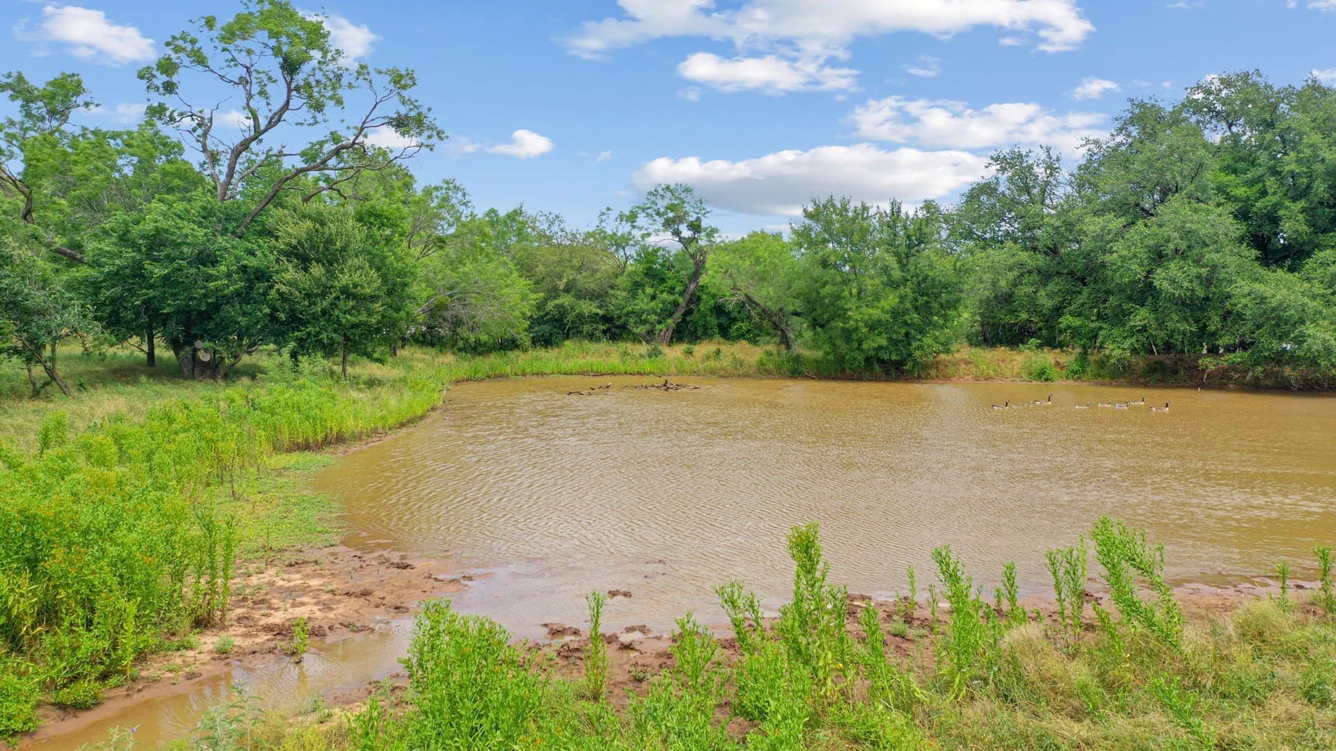 74.23 acres in Parker County - photo 13
