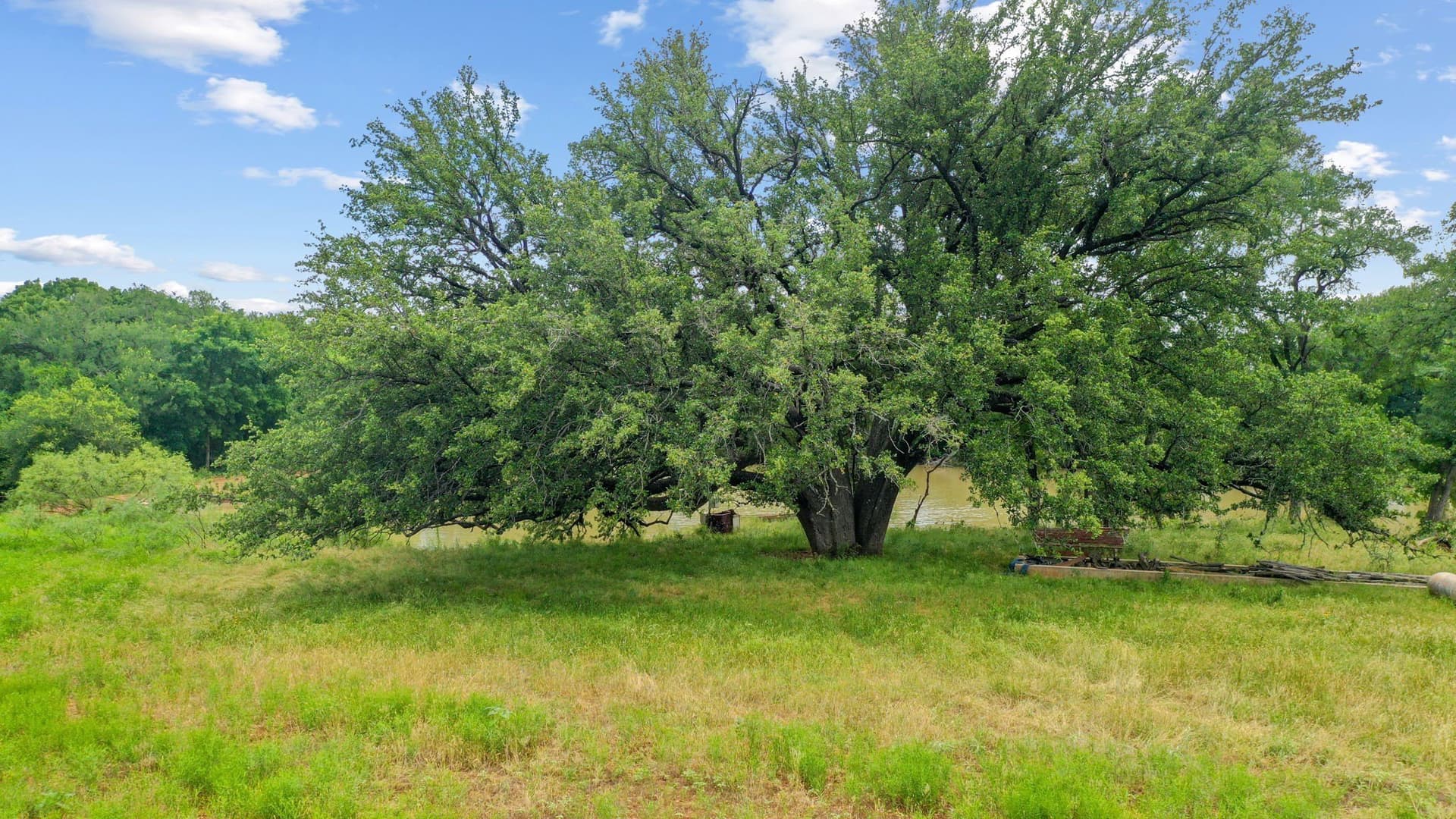 74.23 acres in Parker County - photo 15