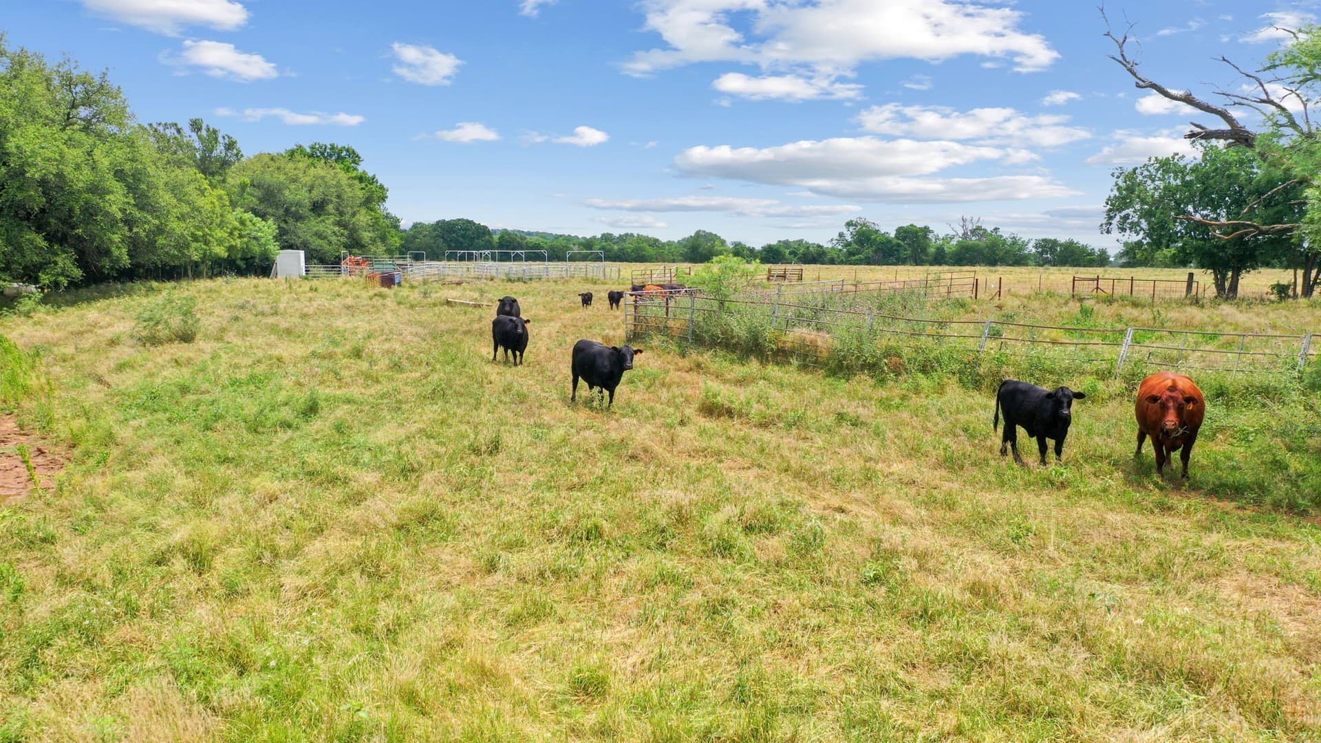 74.23 acres in Parker County - photo 12