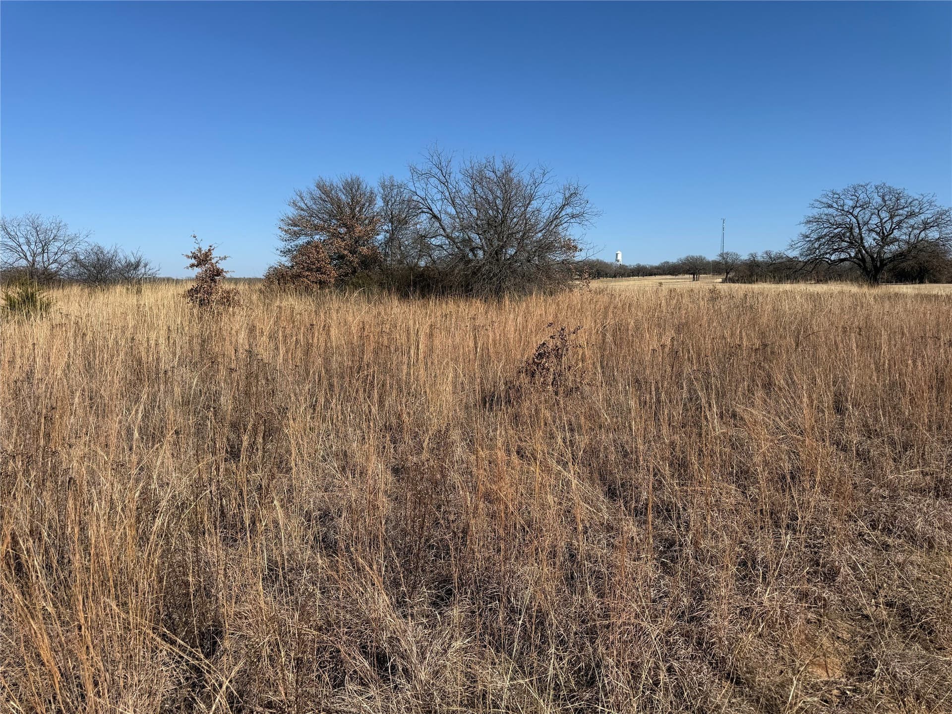 0.3 acres in Montague County gallery image 2