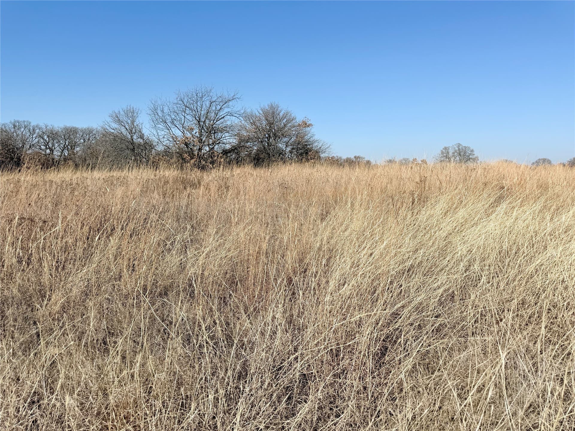 0.3 acres in Montague County gallery image 4
