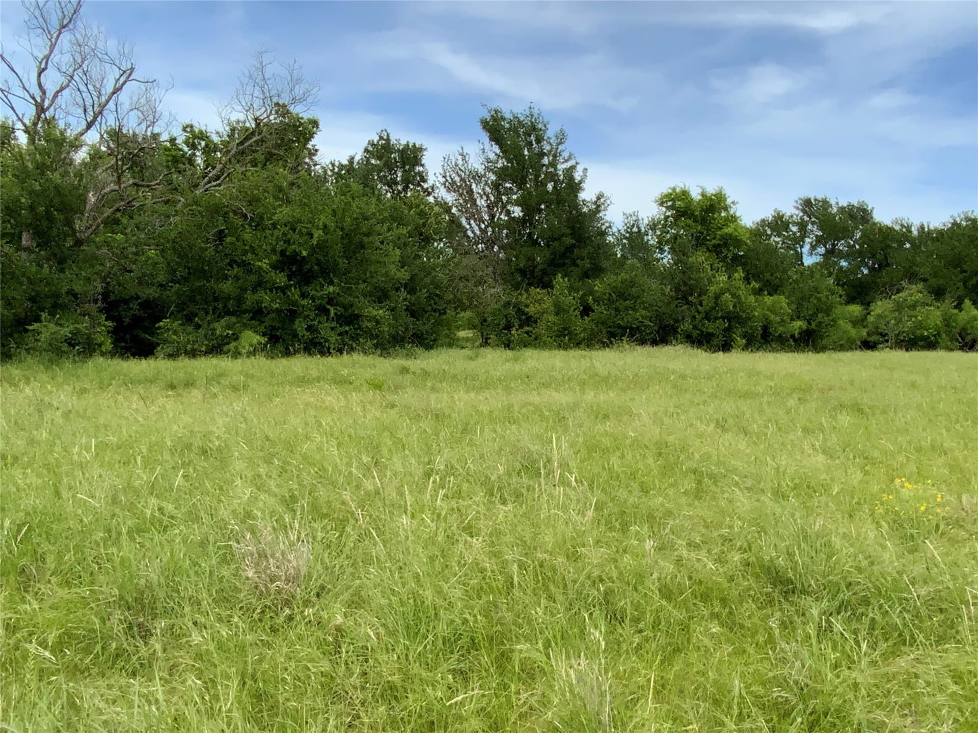 10.09 acres in Comanche County - photo 15